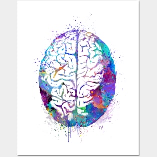 Human Brain Colorful Watercolor Anatomy Gift Posters and Art